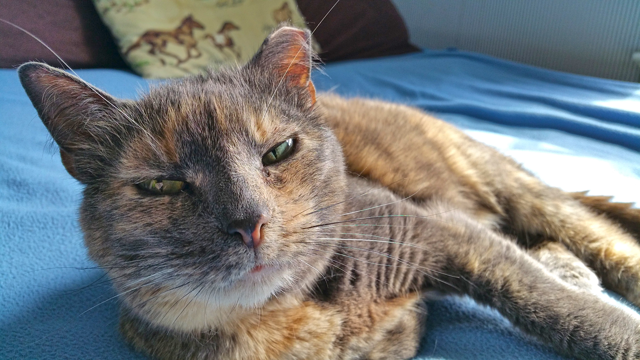 Grace3 2015-05-25 Grace3 2015-05-25